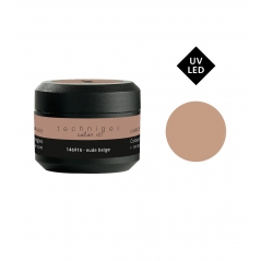 Gel UV et LED   Technigel Color it !