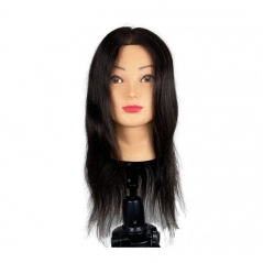 Tête d'apprentissage Clarisse