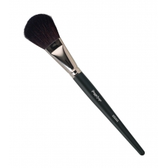 Pinceau poudre