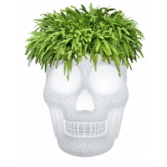 Lampe Mexico Planter seau à champagne ou pot de plantes